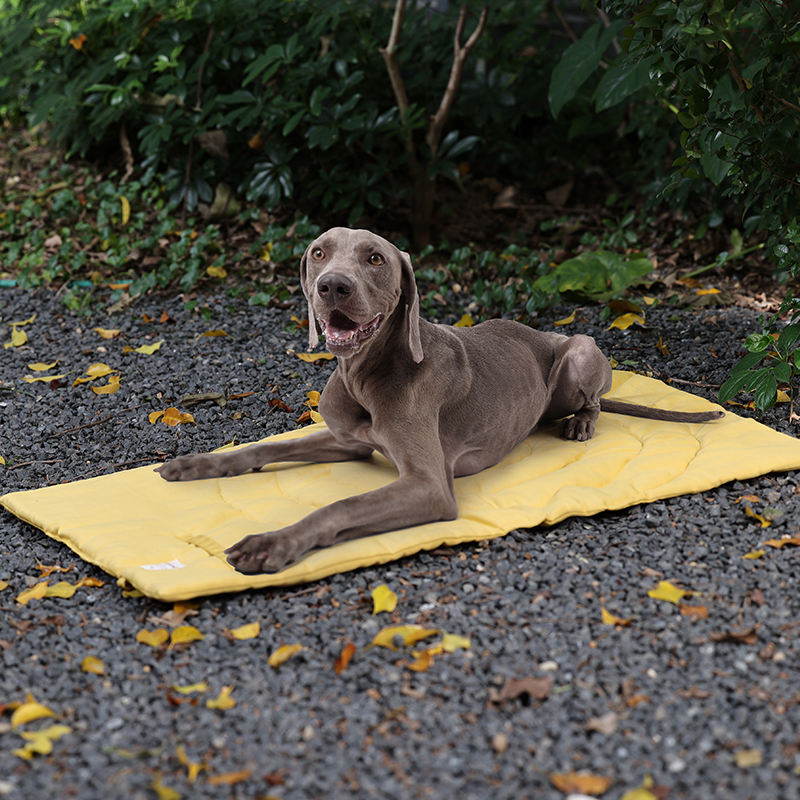 Portable Pet Mat Foldable Pet  - Outdoor Camping Rug recension och pris