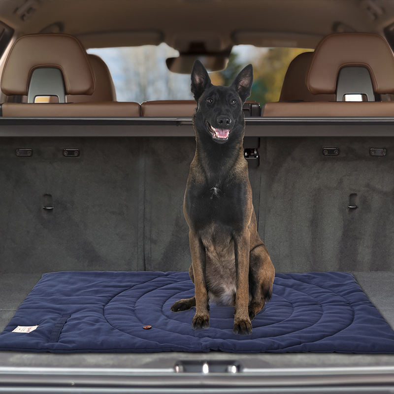 Portable Pet Mat Foldable Pet  - Outdoor Camping Rug recension och pris